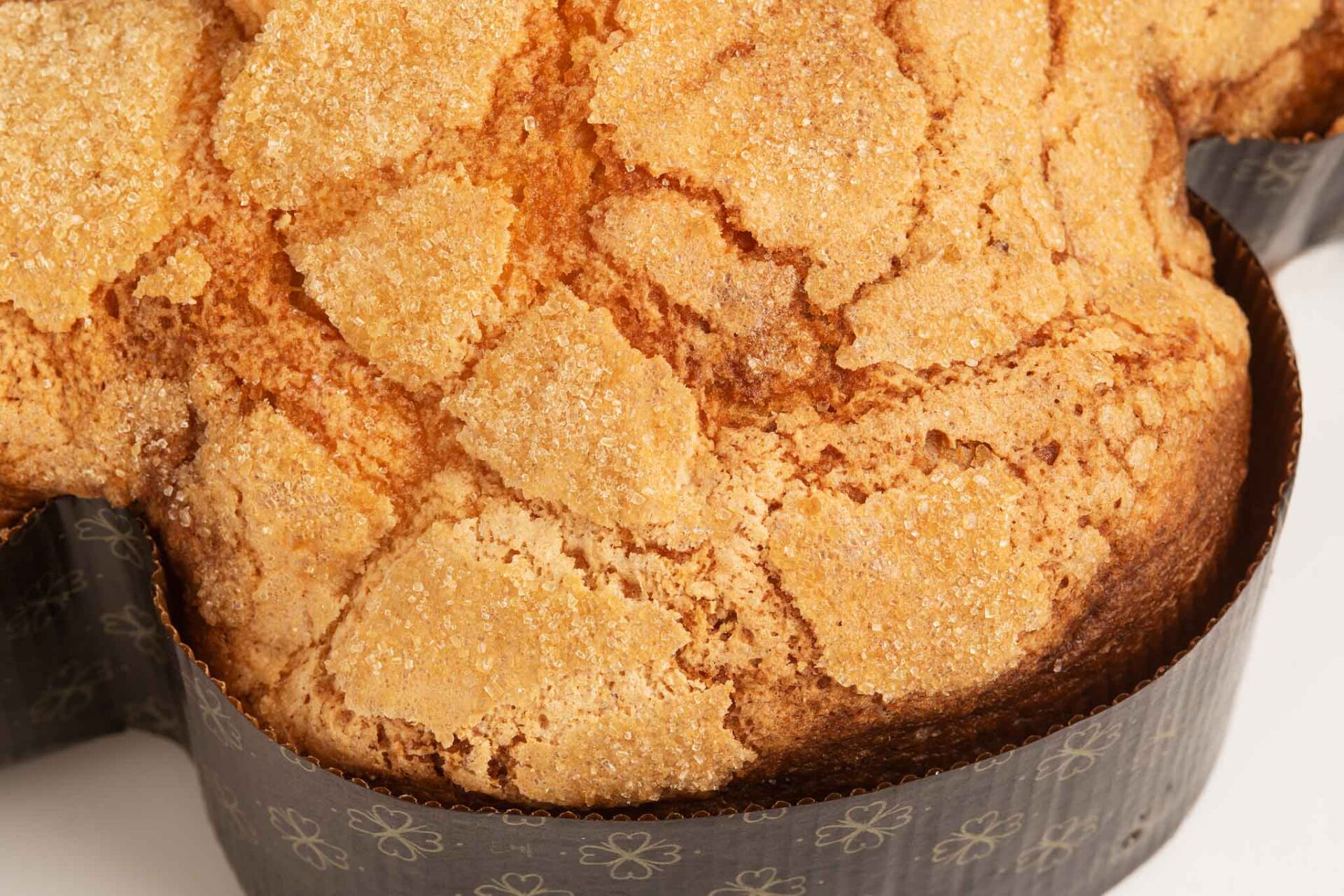 Colomba Albicocca Pellechiella del Vesuvio - immagine 3